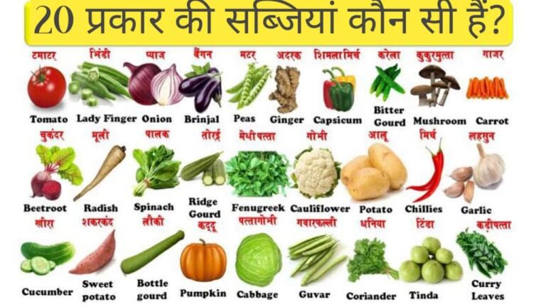 What are the 20 types of vegetables? | 20 प्रकार की सब्जियां कौन सी हैं?