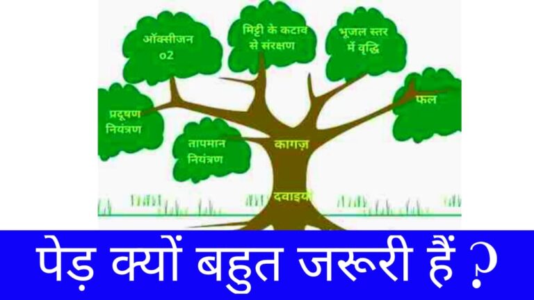 Why are trees very important? | पेड़ क्यों बहुत जरूरी हैं ?