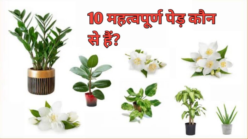 What are the 10 important trees? | 10 महत्वपूर्ण पेड़ कौन से हैं?