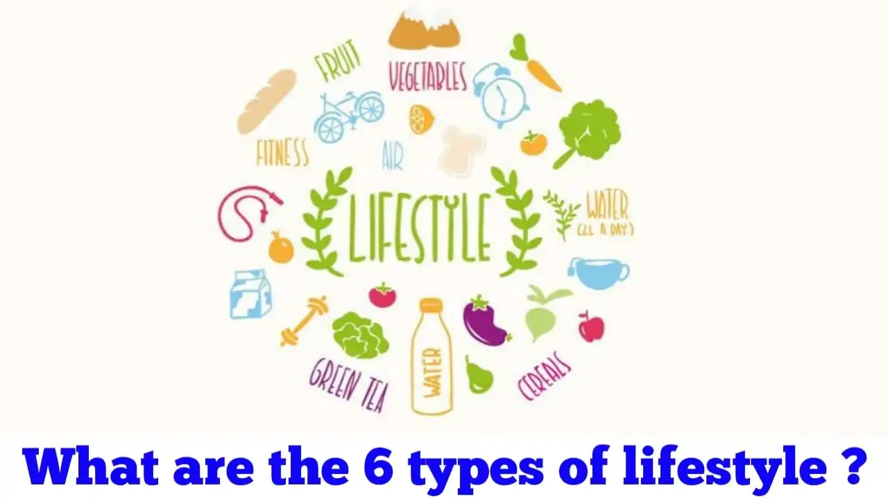 What are the 6 types of lifestyle