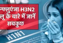 भारत में H3N2 virus के latest updates , H3N2 वायरस के लक्षण, उपचार के बारे में जाने | एच3एन2 वायरस