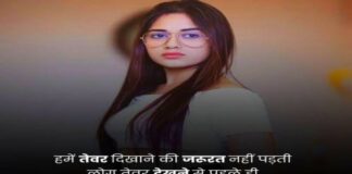 Best 65+ Attitude Shayari And Status In Hindi