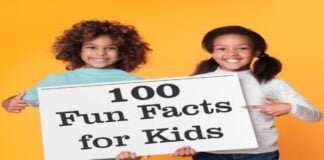 510+ interesting facts about english, amazing facts for school assembly