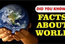 Top 10 amazing facts of the world | Amazing facts of the world in hindi