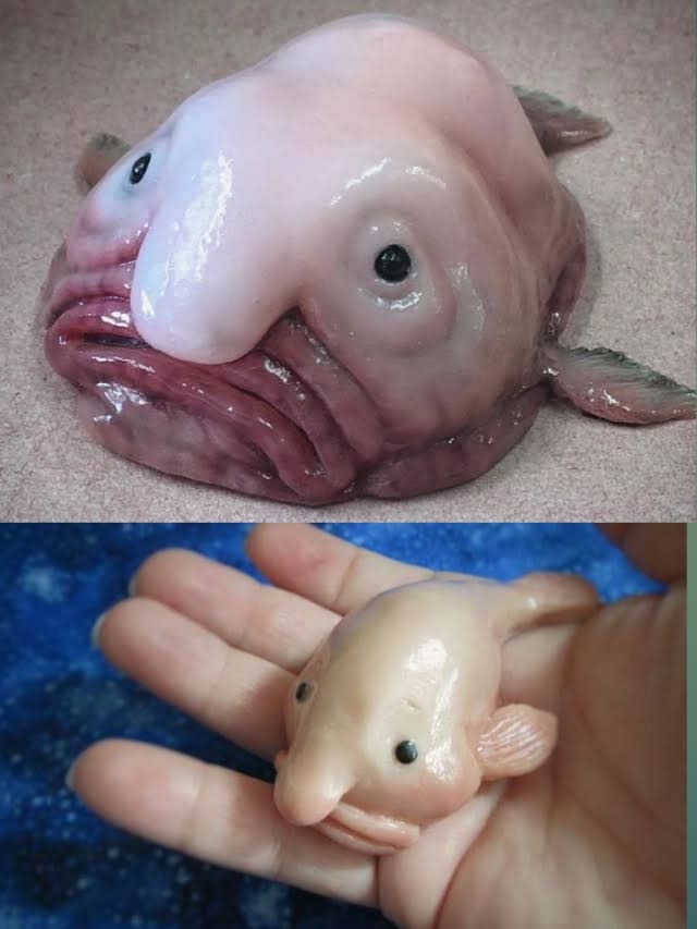 9 STRANGE SEA CREATURES AND THEIR UNIQUE TRAITS