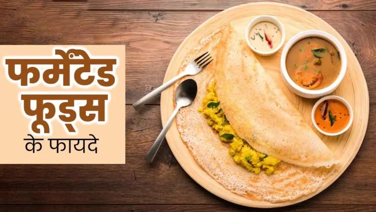 घर पर आसानी से बनाएं फर्मेंटेड फूड्स | स्वादिष्ट और हेल्दी रेसिपीज़ 2025